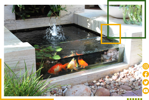 layanan pembuatan kolam,layanan pembuatan kebun, jasa dekor kebun, jasa pasang kolam ikan, jasa buat kolam ikan, jasa buat kolam ikan koi, jasa buat kolam ikan Hias, jasa renov kebun, jasa renovasi kebun minimalist, jasa dekorasi taman dengan kolam, jasa dekor taman ikan, jasa dekor kolam ikan, kolam ikan ikan koi jakarta, kolam ikan koi jabodetabek, kolam ikan hias jakarta, jasa pasang kolam ikan jakarta, tukang kolam ikan jakarta,tukang kolam ikan jabodetabek